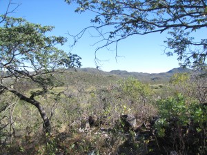 En un sector del parque