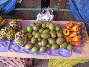 Algunas de las frutas del Amazonas