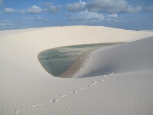 Cientos de estas lagunas salpican el desierto. Solo desaparecen en la temporada seca