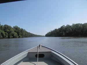 Navegando el Río Preguicas