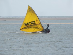 Pequeños barcos pesqueros que se internan en el mar. Carecen de motor y utilizan velas. Es un espectáculo aparte verlos regresar de su jornada de pesca con sus lienzos multicolores